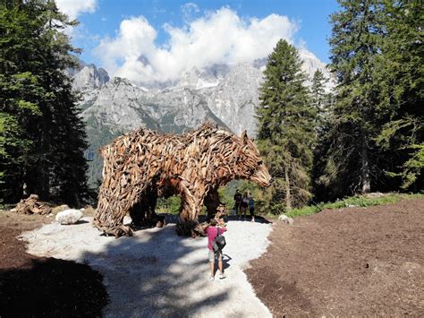 L' ORSO del PRADEL Marco Martalar 4k .